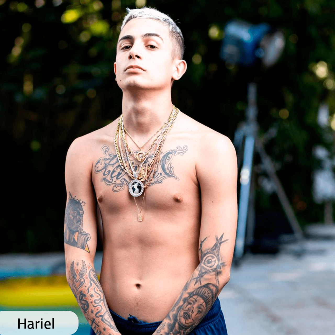 Hariel-ICEE-GANNGS-SITE